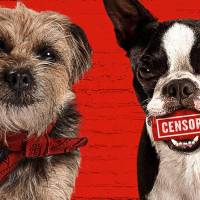 'Strays'- Film Review: This Raunchy Dog Comedy Needs More Bite